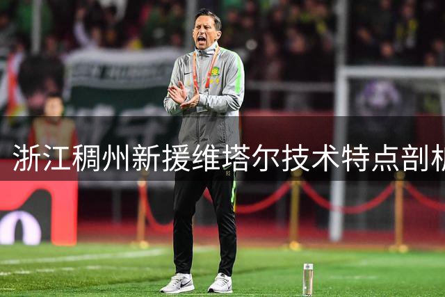 浙江稠州新援维塔尔技术特点剖析